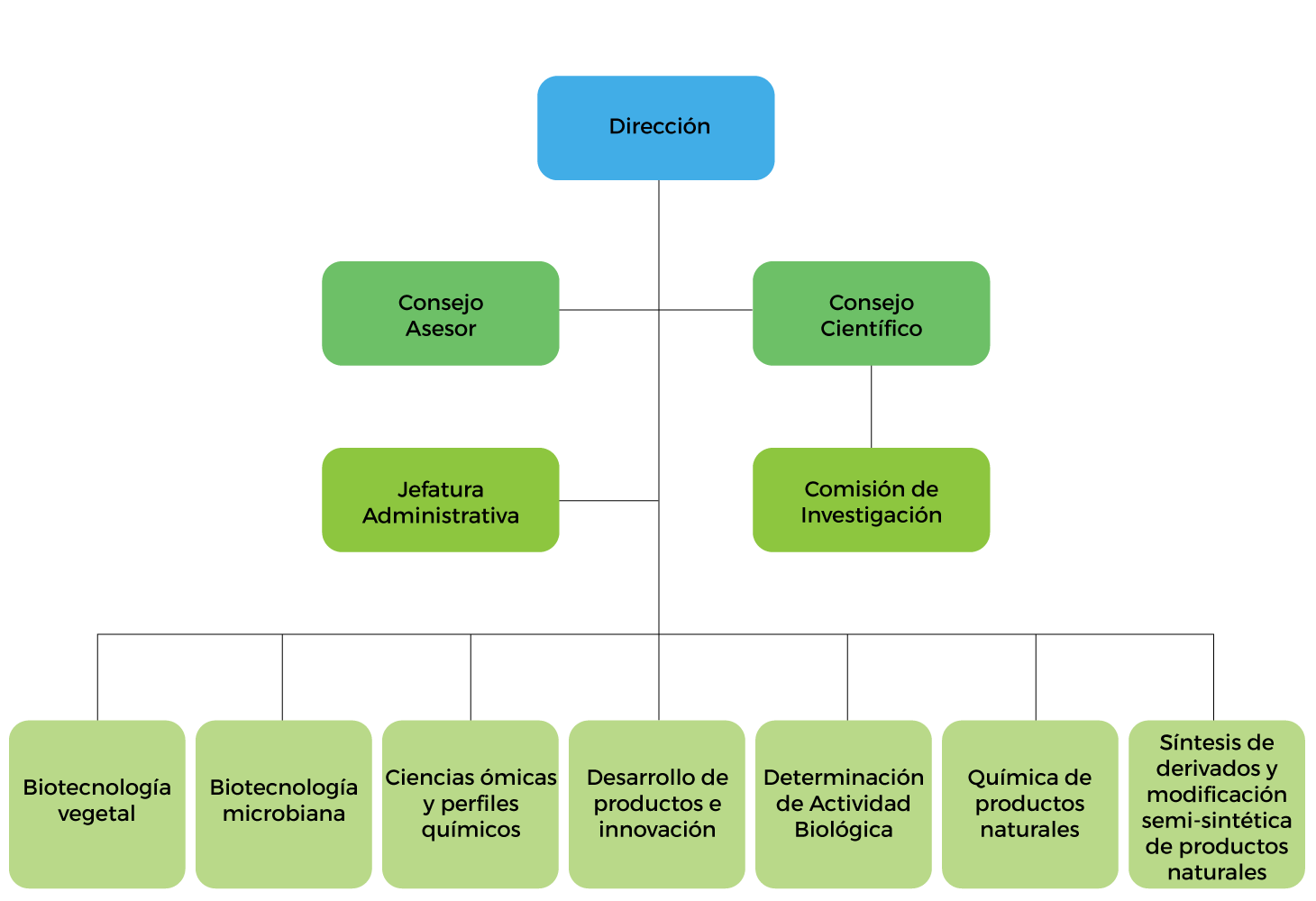 organigrama del CIPRONA